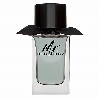 Burberry Mr. Burberry Eau de Toilette para hombre 100 ml