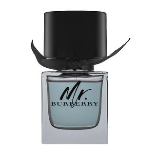 Burberry Mr. Burberry Eau de Toilette para hombre 50 ml